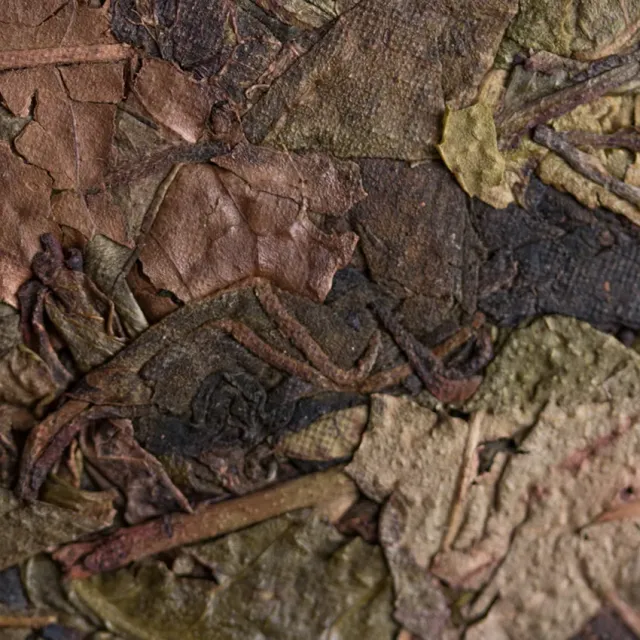 Sheng puerh «Cai Zhe Jin Fei Ye» — 4